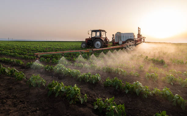 Best Commercial Pest Control Services  in Pike Road, AL
