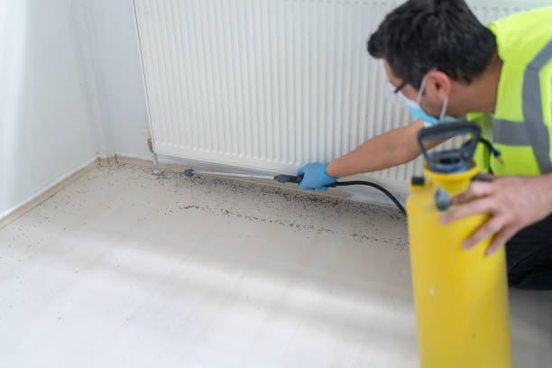 Best Termite Control Services  in Pike Road, AL