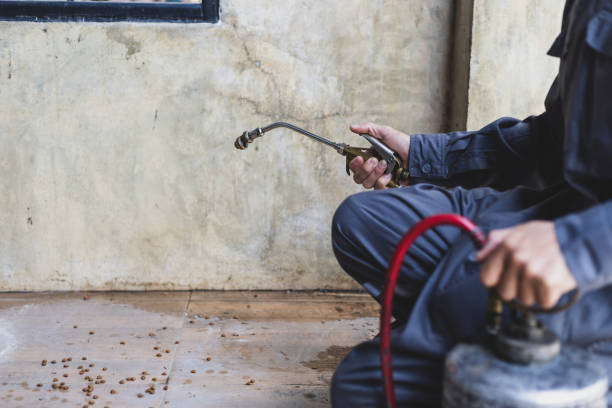 Best Flea Control Services  in Pike Road, AL
