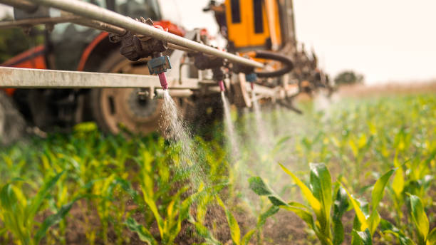 Best Pest Control for Homes  in Pike Road, AL